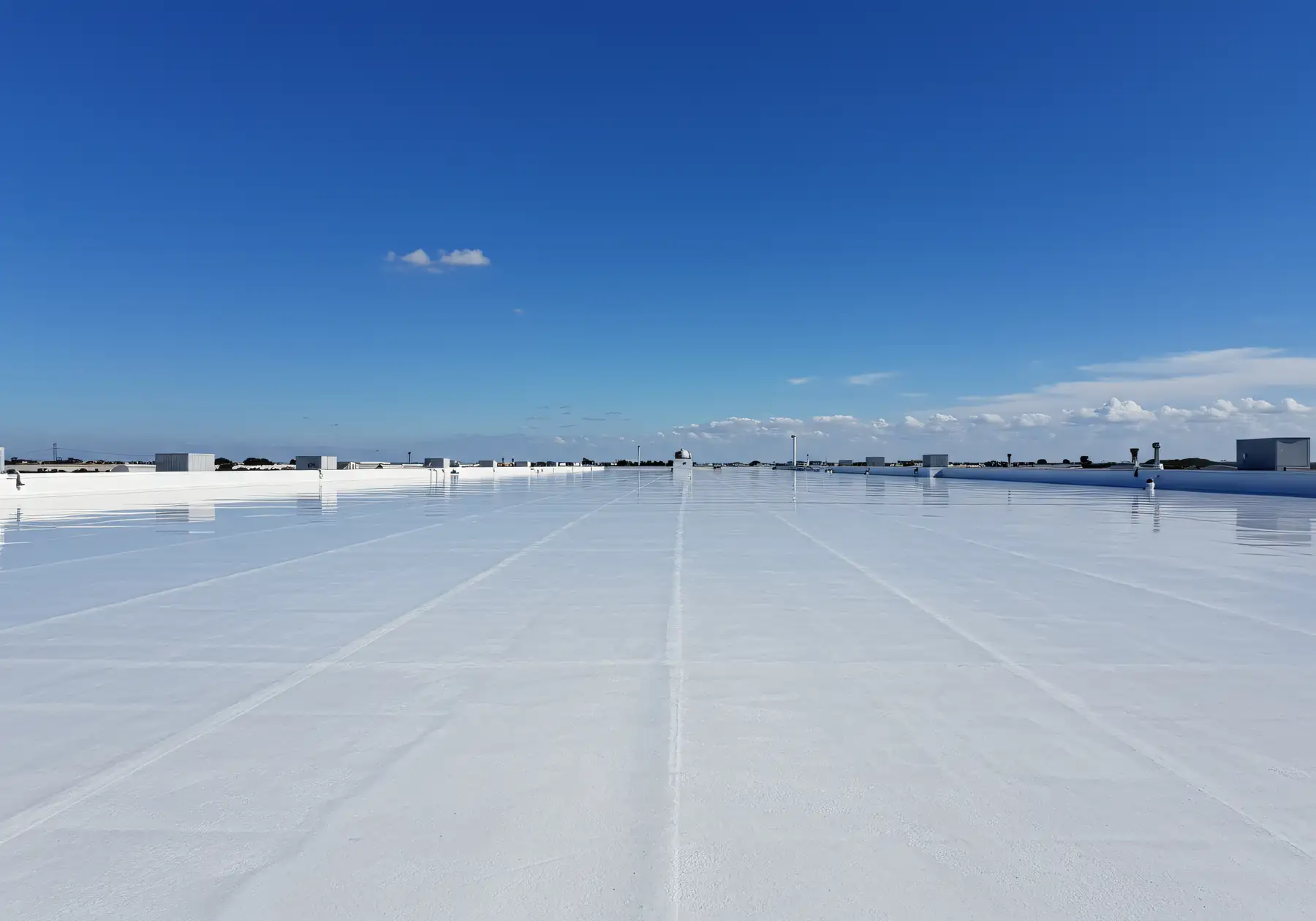 TPO Membrane Roofing